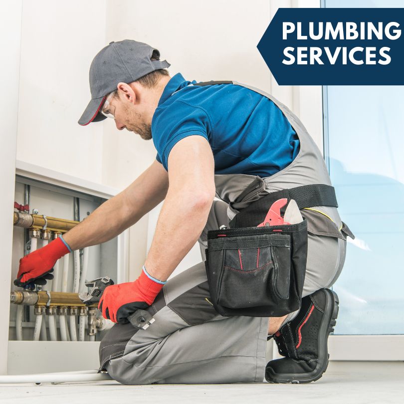 Globe Plumbing Company